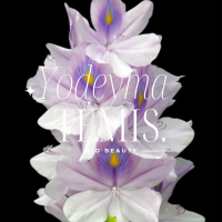 Temis Damesparfum Yodeyma 15 Ml